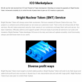 Bright Nuclear Token ICO