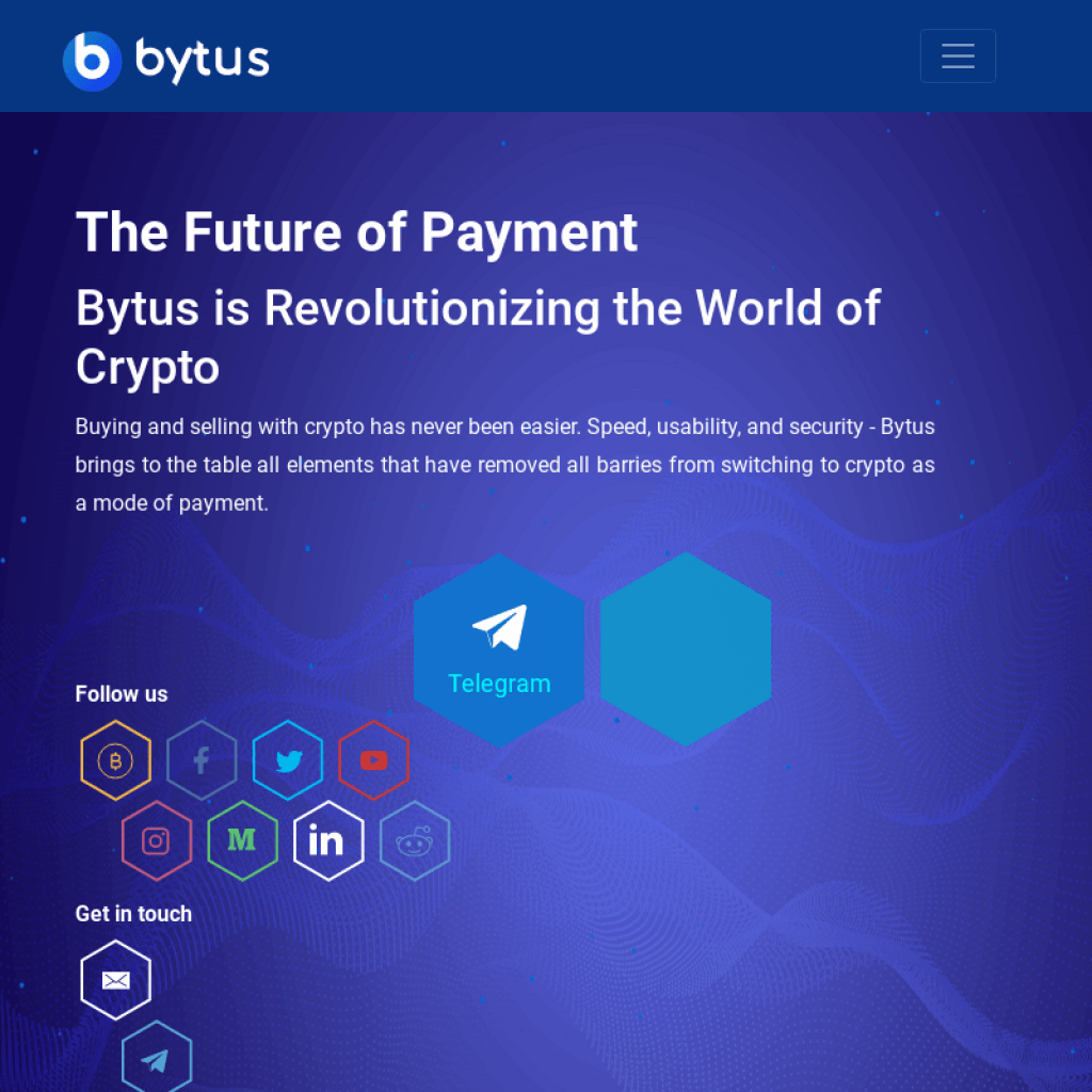 Bytus blockchain company
