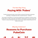 PubeCoin ICO