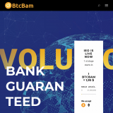 Bitcoin BAM ICO