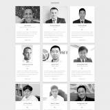 ATFS Project ICO