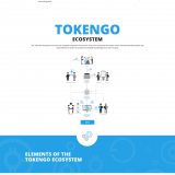 TokenGo ICO